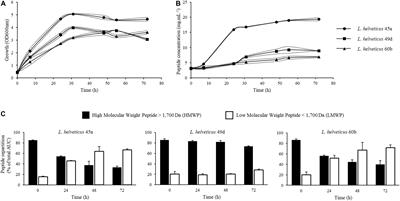 Integrated Continuous Bioprocess Development for ACE-Inhibitory Peptide Production by Lactobacillus helveticus Strains in Membrane Bioreactor